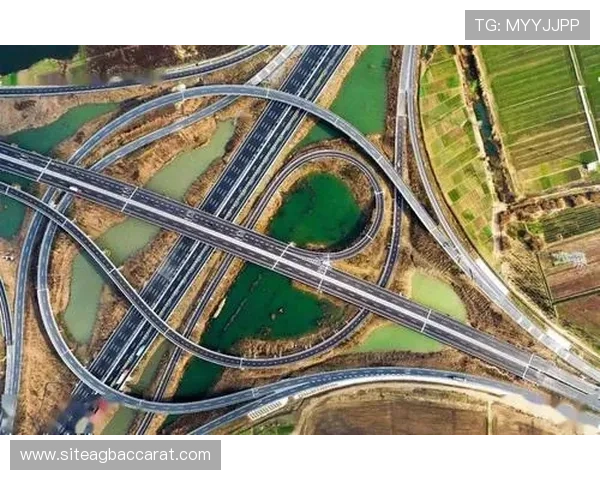 云顶新耀官网平台合作伙伴及生态系统建设情况介绍 云顶新耀官网平台合作伙伴及生态系统建设情况介绍