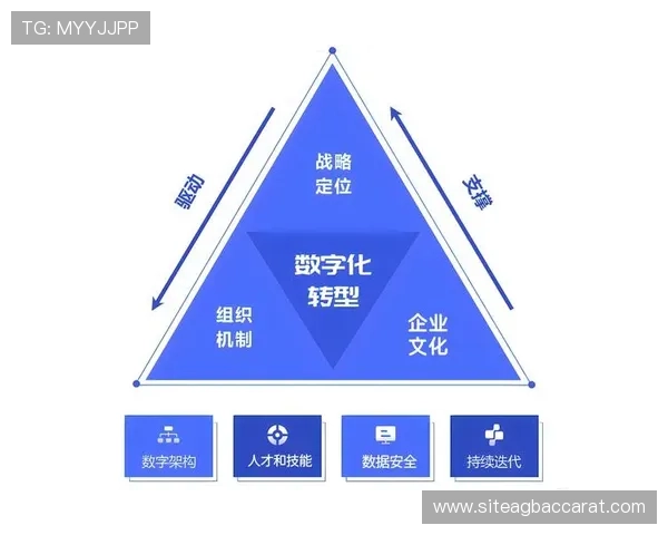 视讯官网在企业数字化转型中的核心作用与未来发展趋势分析